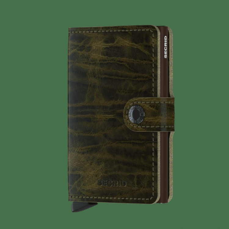 Dutch Martin Olive