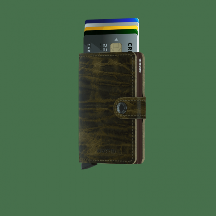 Dutch Martin Olive