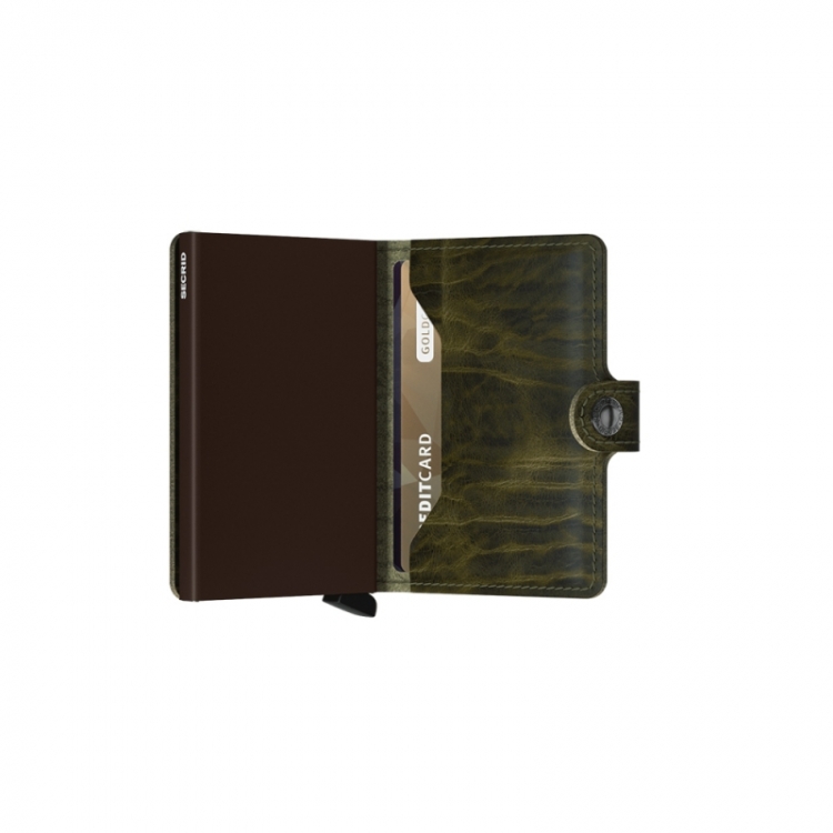 Dutch Martin Olive