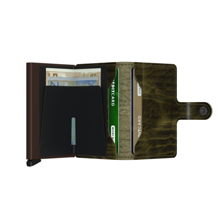 Dutch Martin Olive