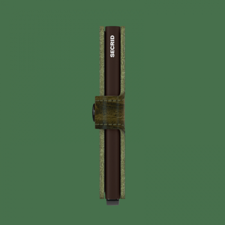 Dutch Martin Olive