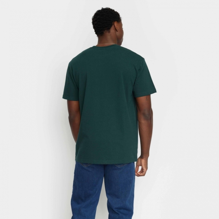 Appliction ts Darkgreen-melan