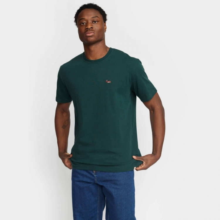 Appliction ts Darkgreen-melan