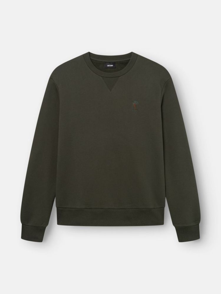 Sweat 000526-Evergree